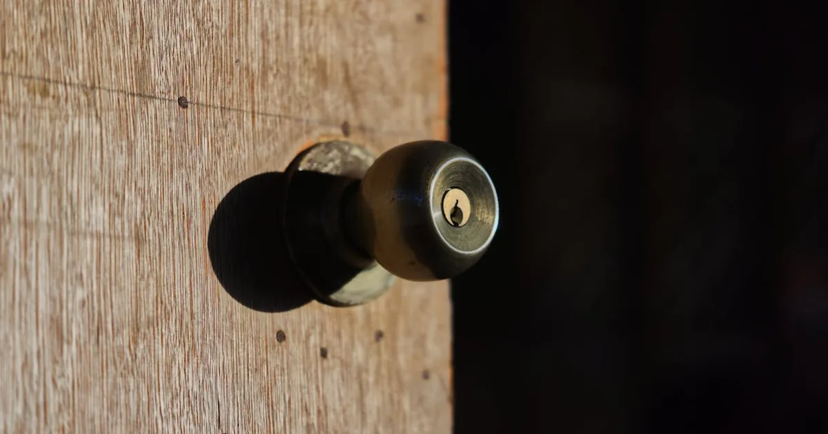 Camara de Seguridads Compatibles con Thread