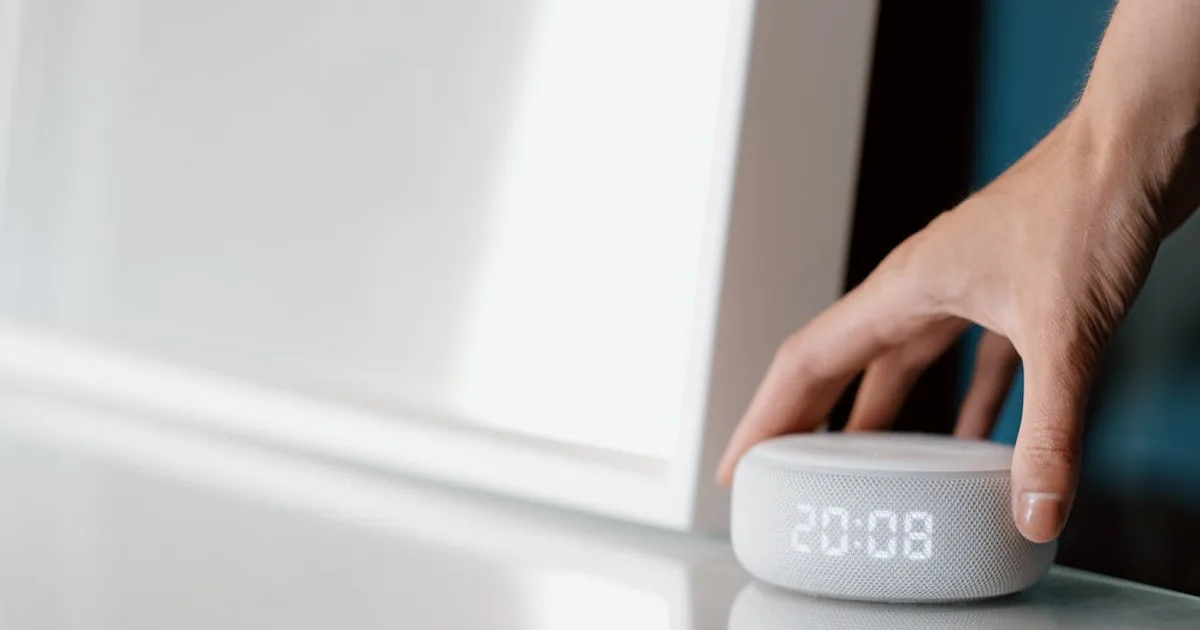 Ring vs Google Nest - Hub Domotica